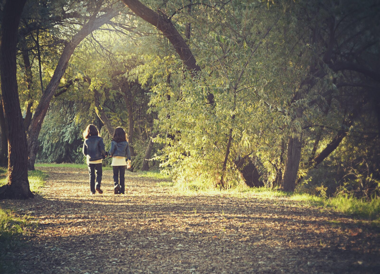 Contemplative Children walking in Nature